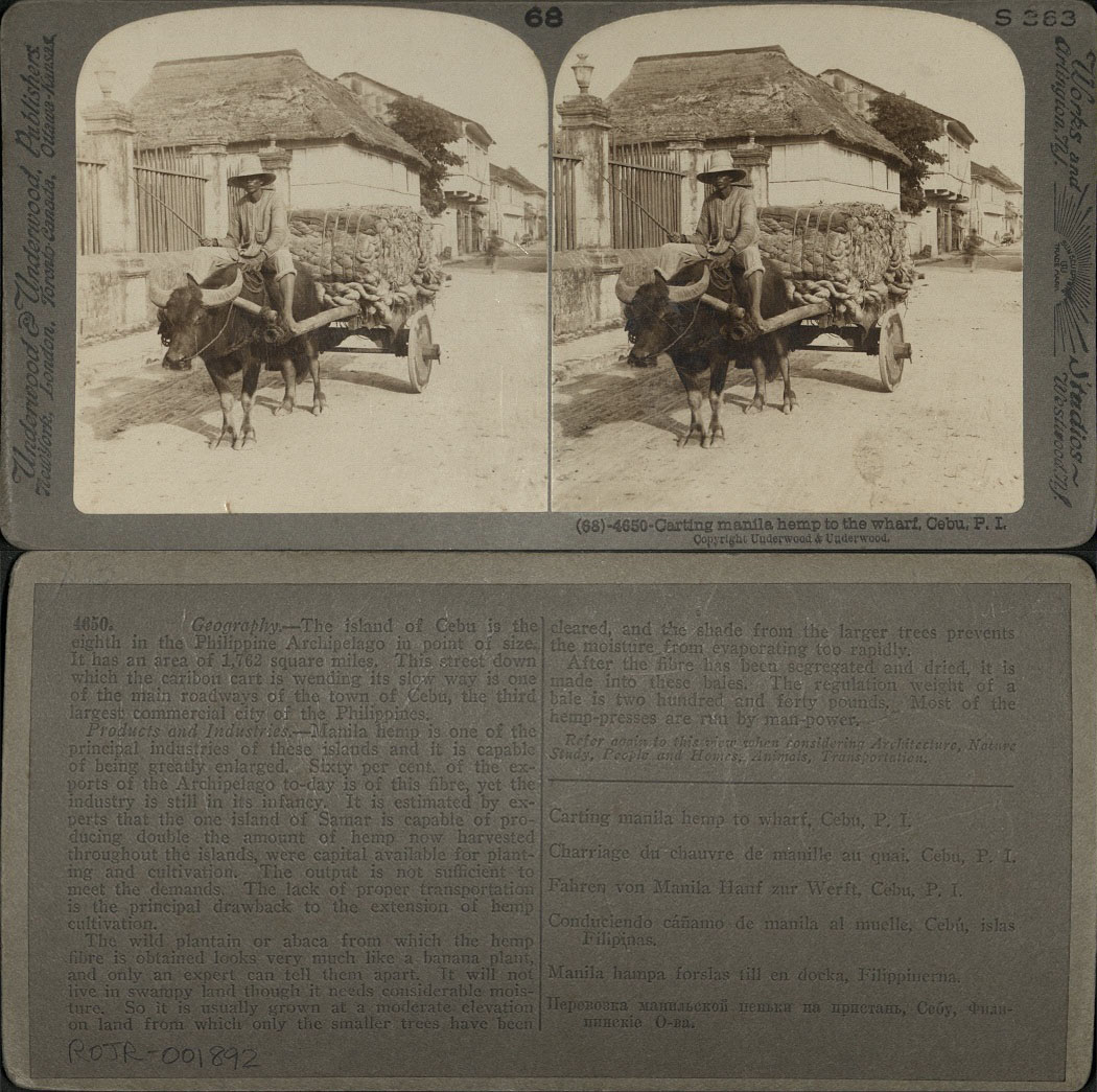 Carting Manila hemp to the wharf, Cebu, P. I.